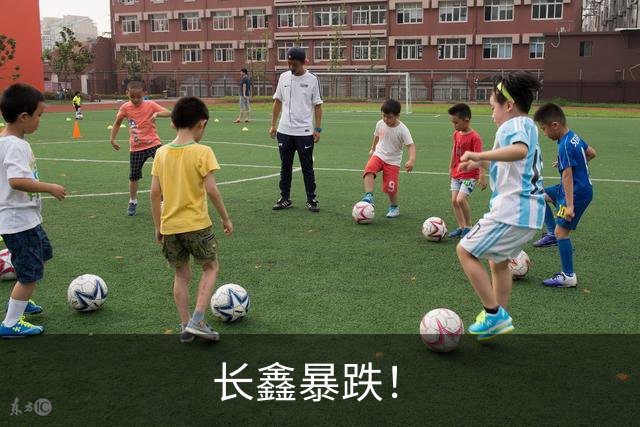 长鑫暴跌！